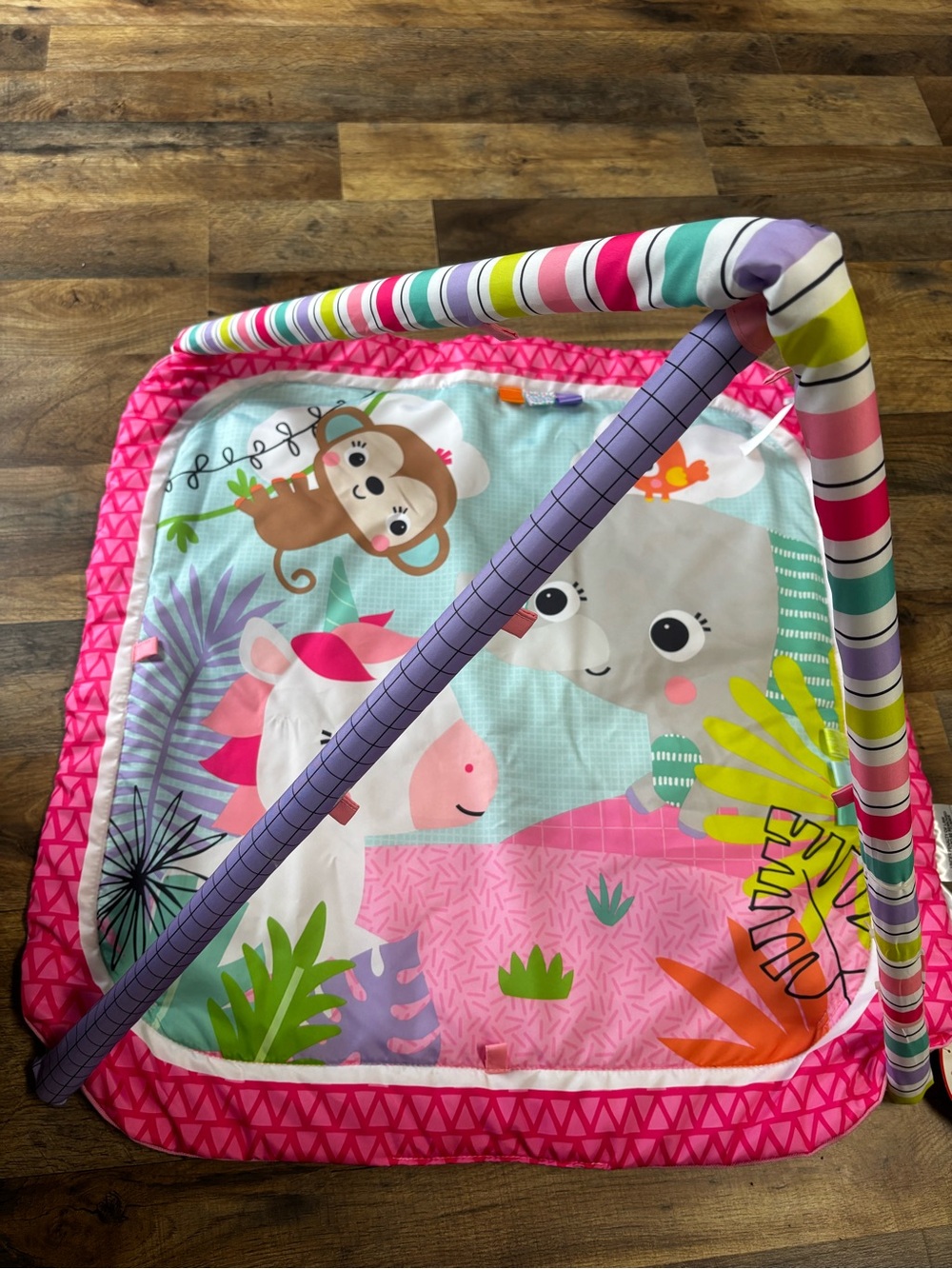 Pink-Trim Jungle Animal Play Mat with Colorful Striped Arches